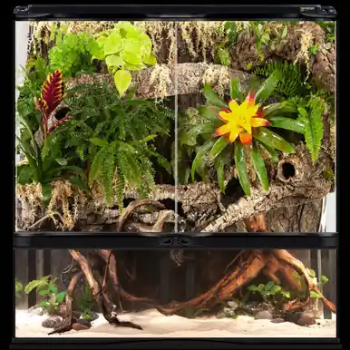 ZooMed Double Door Paludarium (36"x18"x36") - Fish Tanks