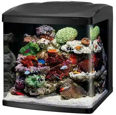 Coralife 32 LED BioCube Aquarium - Fish Tanks