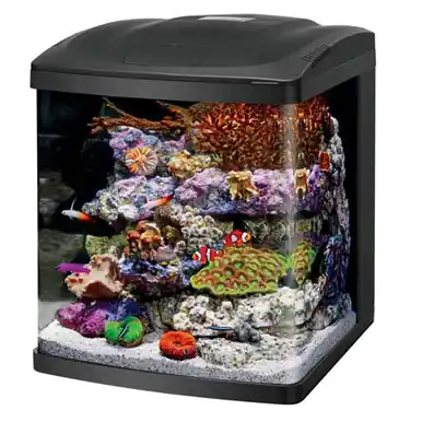 Coralife NEW STYLE Size 16 LED BioCube Aquarium - Fish Tanks