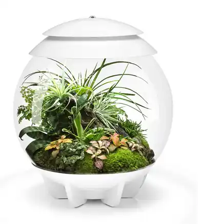 biOrb AIR 30 LED Terrarium - WHITE