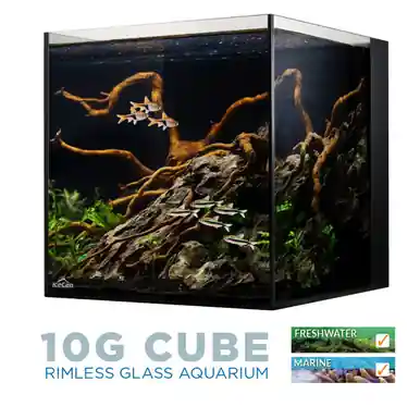 IceCap AIO Aquarium 10g - Fish Tanks