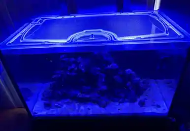 Top-Lids Reefer 250 poly-carb lid