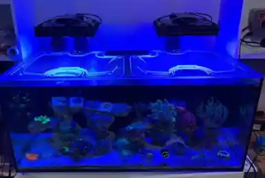 Top-Lids Reefer 300 poly-carb lid