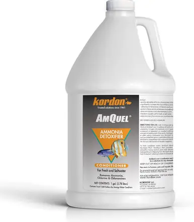 Kordon AmQuel 1 Gallon - Aquarium Supplies