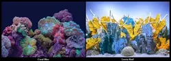Seaview Coral Bliss/ Luscia Reef 18" x 50' Double Sided Background - Aquarium Supplies