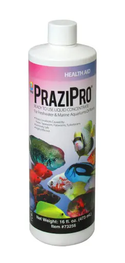 Hikari PraziPro Parasite Treatment 16oz - Aquarium Supplies