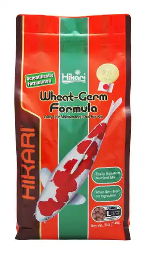 Hikari Wheat-Germ Formula KOI Floating Pellet Large 4.4 lbs