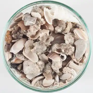 CaribSea African Cichlid Mix Original Gravel 20 lbs - Aquarium Supplies