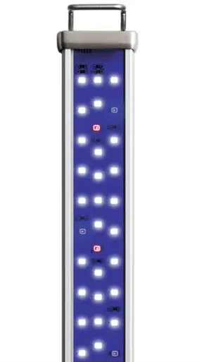 Aquarium Systems Proten LED Reef Blue 24"-36"