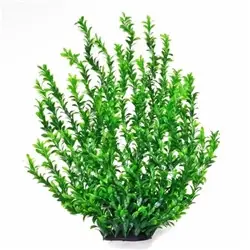 Aquatop Broad Plant Dark Green 31" - Aquarium Supplies