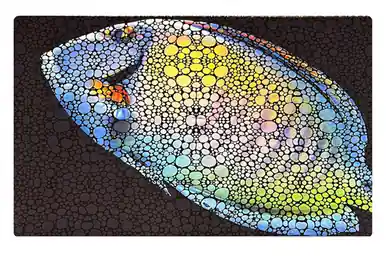 Flipper Aquarium Mat with Tang Artwork - Aquarium Supplies