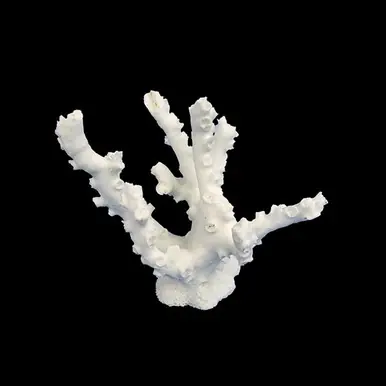 Weco Octopus Coral White - Small