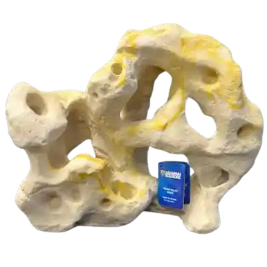 Hikari Texas Holey Rock Resin (12" x 5.9" x 9.5") - Aquarium Supplies