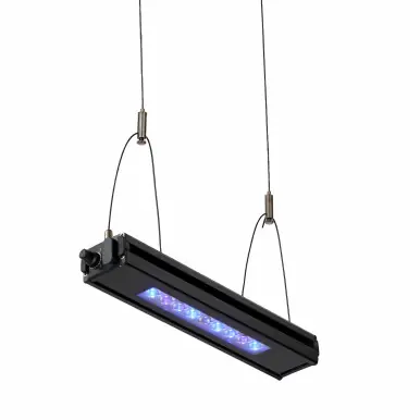 Reef Breeders Edge 12 - Aquarium Equipment