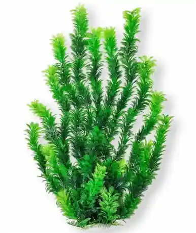Aquatop Bushy Dark Green Plant 24" - Aquarium Supplies