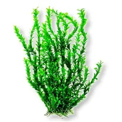 Aquatop Light Green Med. Leaf Plant 25" - Aquarium Supplies