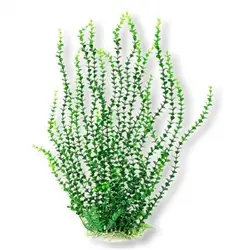 Aquatop Light Green Small Leaf Plant 26" - Aquarium Supplies