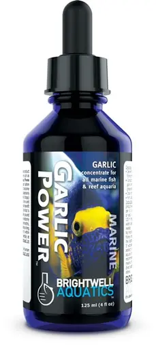 Brightwell Garlic Power Concentrated Garlic Supplement 60mL - Aquarium Supplies