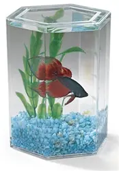 Lee's BettaHex, Small - Fish Tanks