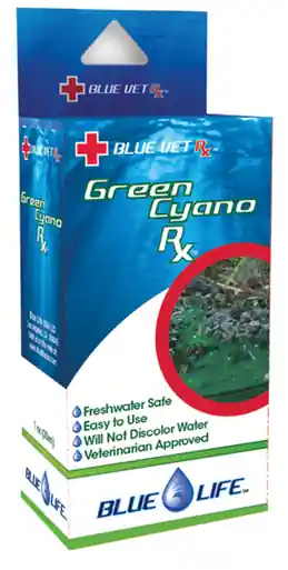 BlueLife Green Cyano Rx - Aquarium Supplies