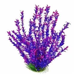 Aquatop Plant Hygrophila Pink/Purple 20" - Aquarium Supplies