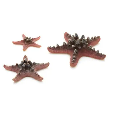 Biorb Sea Star Set of 3 Pink - Aquarium Supplies