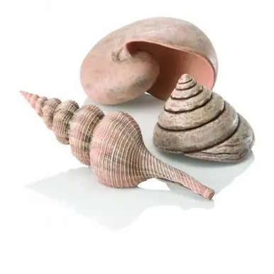 BiOrb Sea Shells Natural - Aquarium Supplies