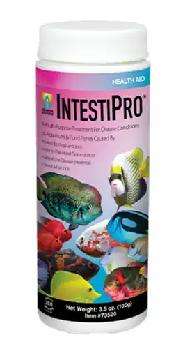 Hikari IntestiPro 3.5oz Treats 200 Gallons - Aquarium Supplies
