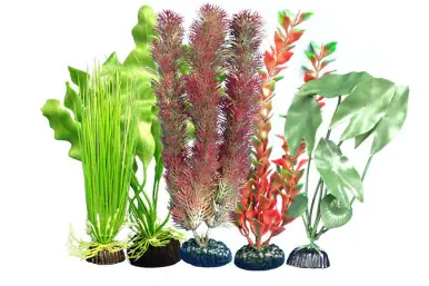 Weco Freshwater Multipack Assortment 105 - Aquarium Supplies