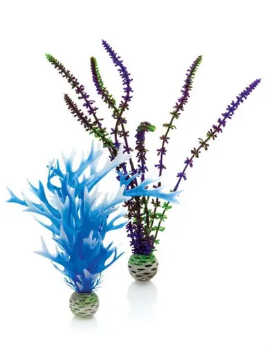 biOrb Blue-Purple Plant Medium 2 Pack