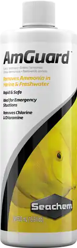 Seachem AmGuard 500mL - Aquarium Supplies