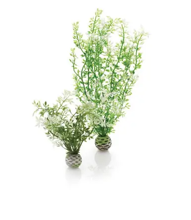 BiOrb Winter Flower Plant 2 Pack - Aquarium Supplies