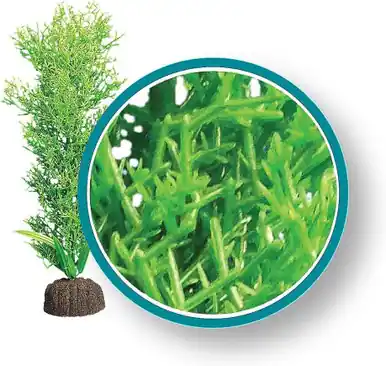 Weco Plant Bushy Kelp 18" - Aquarium Supplies