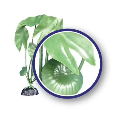 Weco Plant Green Tiger Lotus 18" - Aquarium Supplies