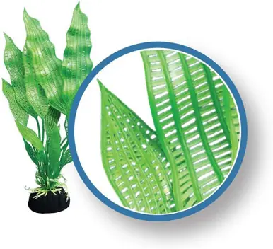 Weco Plant Madagascar Lace 18" - Aquarium Supplies