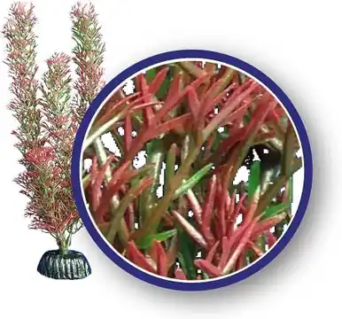 Weco Plant Red Foxtail 18" - Aquarium Supplies