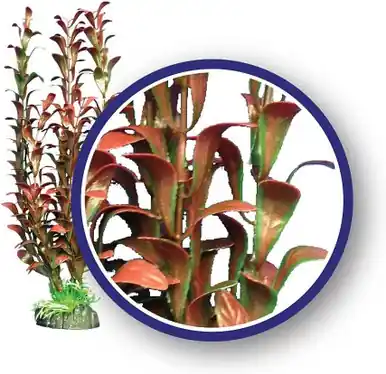 Weco Plant Red Hygrophilia 18" - Aquarium Supplies