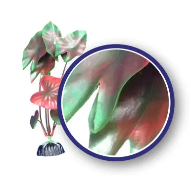 Weco Plant Red Tiger Lotus 18" - Aquarium Supplies