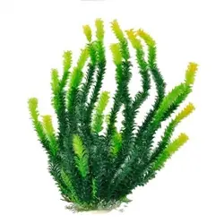 Aquatop Bushy Leaf Grass w/ Yellow Tip Plant 12" - Aquarium Supplies