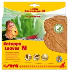 Sera Catappa Leaves M 18cm 10pcs - Aquarium Supplies