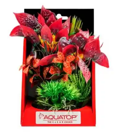 Aquatop Vibrant Wild Mixed Red Plant 6" - Aquarium Supplies