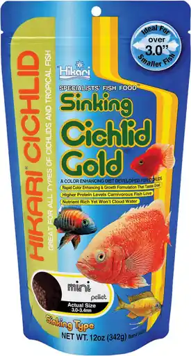 Hikari Cichlid Gold Sinking Pellet Mini 12oz - Aquarium Supplies