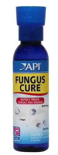 API Fungus Cure 4oz - Aquarium Supplies
