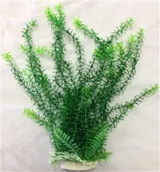 Aquatop Anacharis Plant 12" - Aquarium Supplies