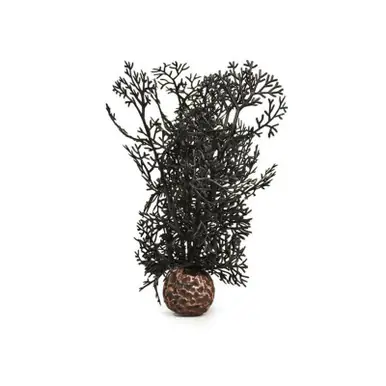 Biorb Medium Black Sea Fan - Aquarium Supplies