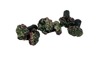 Eshopps Frag Plugs (6 PK) - Aquarium Supplies