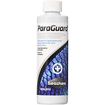 Seachem ParaGuard 250 ml - Aquarium Supplies