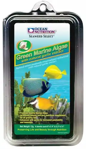 Ocean Nutrition "Seaweed Select" Green Marine Algae 30 GM - Aquarium Supplies