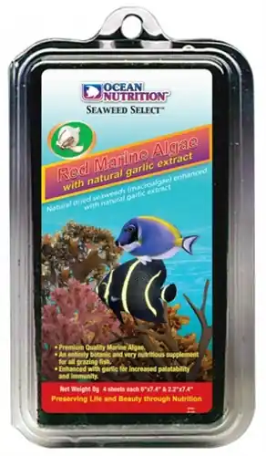 Ocean Nutrition "Seaweed Select" Red Marine Algae 30 GM - Aquarium Supplies
