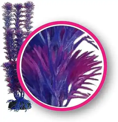 Weco Fuschia Fern 12" Dream Series Wonder Plants - Aquarium Supplies